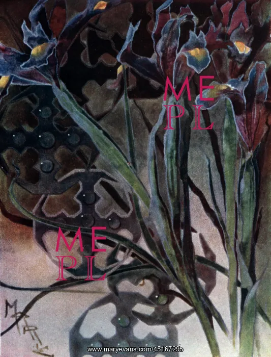 : Irises. A painting of Irises covering the image of arabesques seen in the water : Irises. A painting of Irises covering the image of arabesques seen in the water