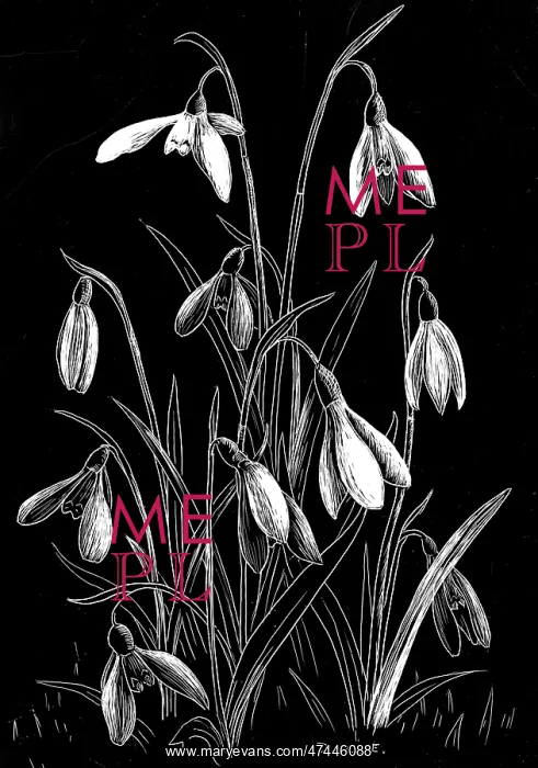  : Irises - scraperboard design