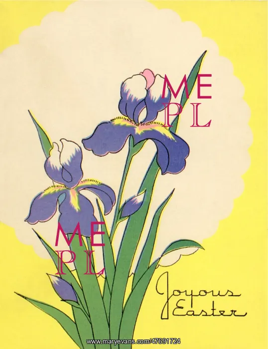  : Irises