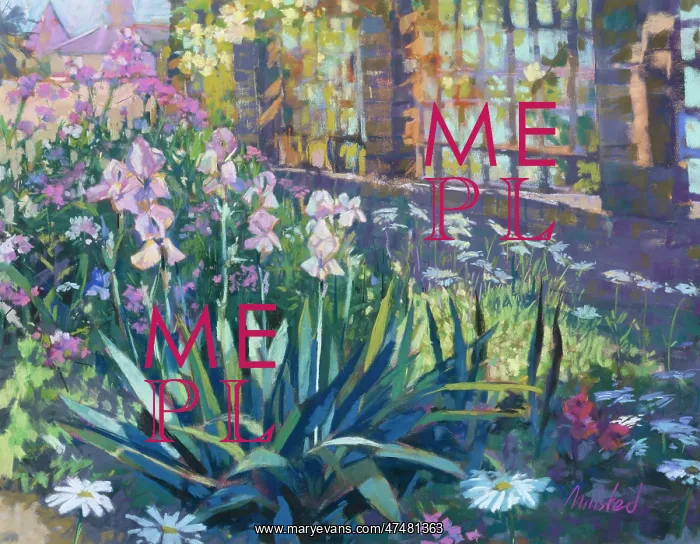 : Irises ' garden with pink irises : Irises ' garden with pink irises