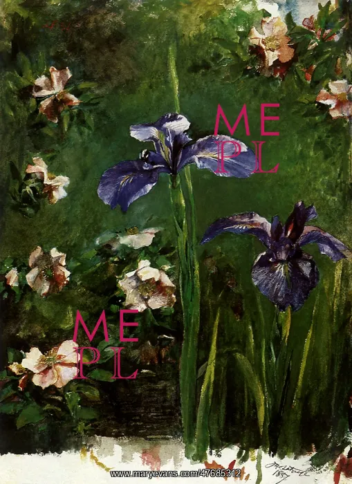  : Irises and Roses