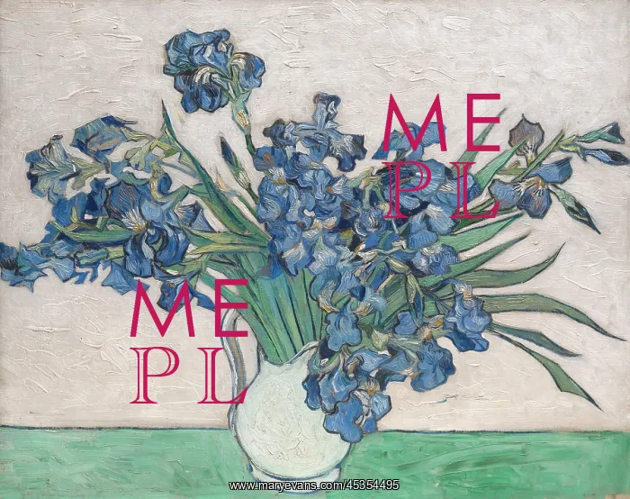  : Irises, by Van Gogh