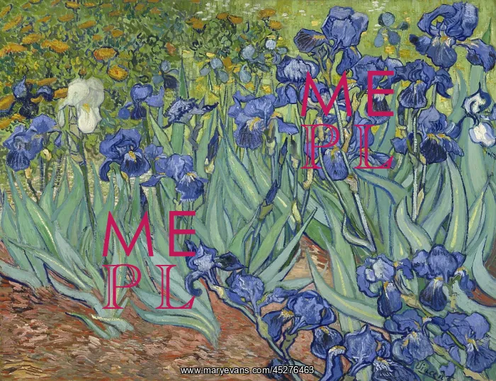 : Irises, by Vincent van Gogh : Irises, by Vincent van Gogh