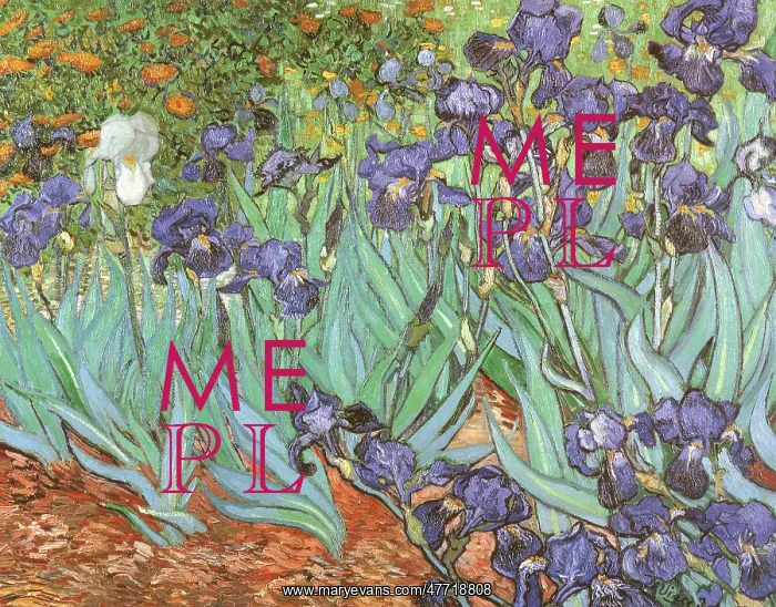  : Irises, by Vincent Van Gogh