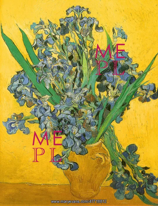  : Irises, by Vincent Van Gogh