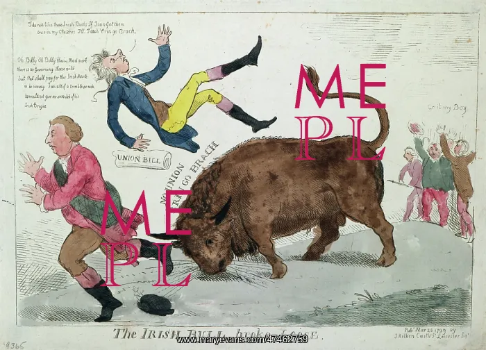 : The Irish bull broke loose : The Irish bull broke loose