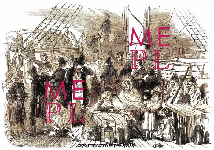 : Irish emigrants 1846 : Irish emigrants 1846