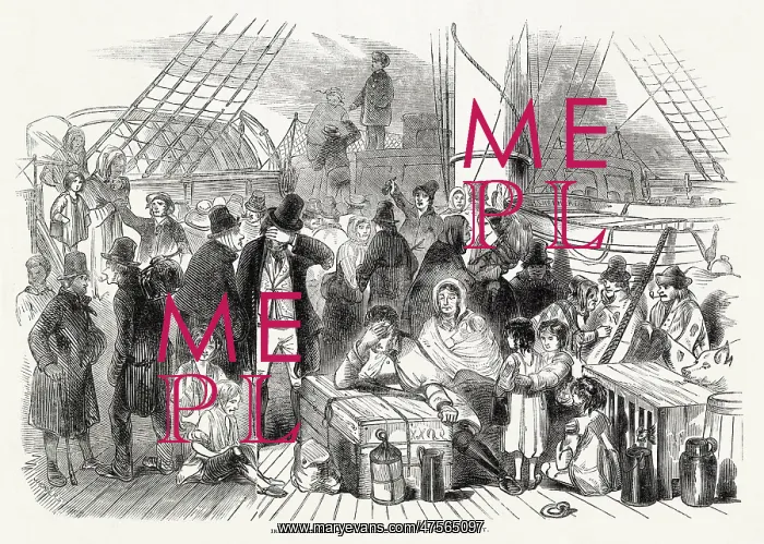: Irish emigrants 1846 : Irish emigrants 1846
