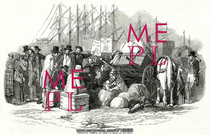 : Irish emigrants at Cork : Irish emigrants at Cork