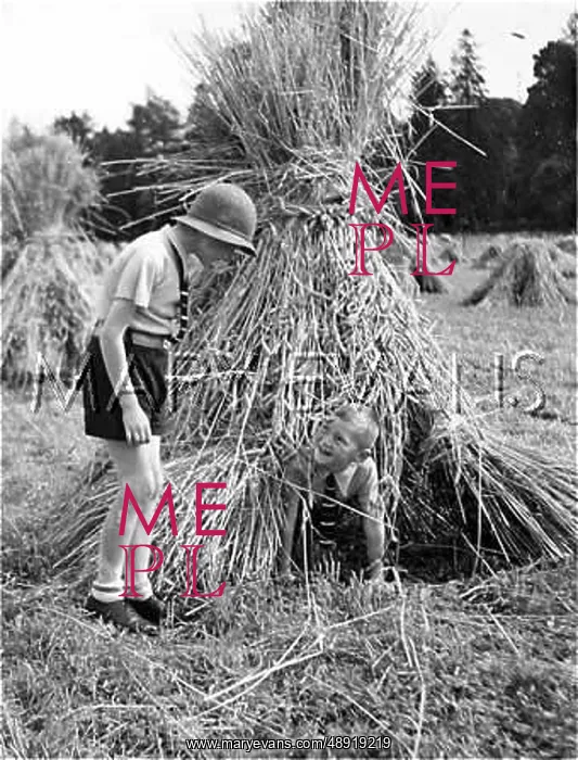 : IRISH FARM BOYS : IRISH FARM BOYS