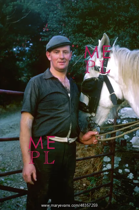 : Irish farmer with horse : Irish farmer with horse