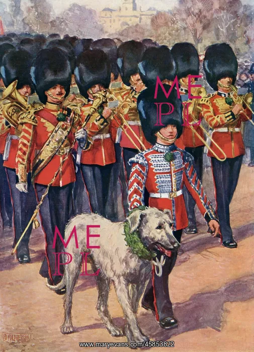 : IRISH GUARDS & MASCOT : IRISH GUARDS & MASCOT