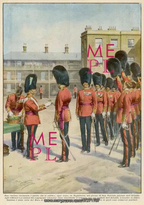 : IRISH GUARDS SHAMROCK : IRISH GUARDS SHAMROCK