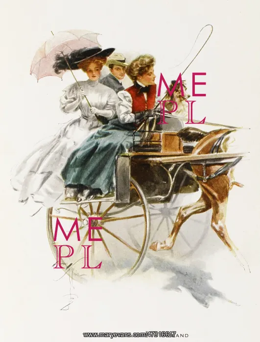 : Irish Jaunting Car - 1909 : Irish Jaunting Car - 1909