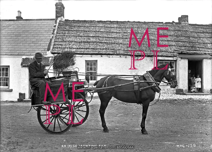 : An Irish Jaunting Car : An Irish Jaunting Car