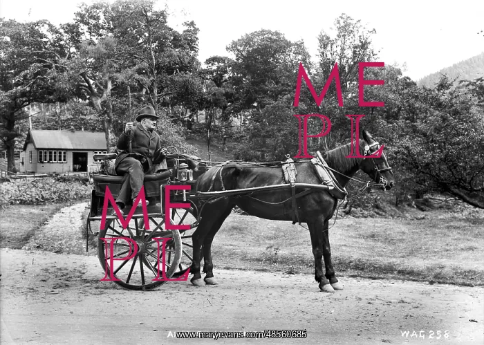 : An Irish Jaunting Car : An Irish Jaunting Car