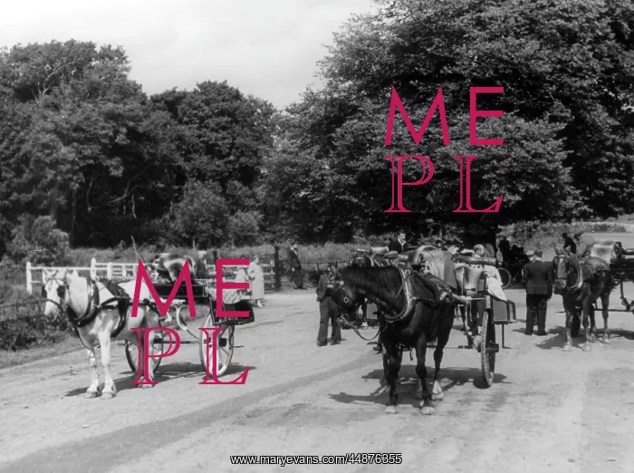 : IRISH JAUNTING CARS : IRISH JAUNTING CARS