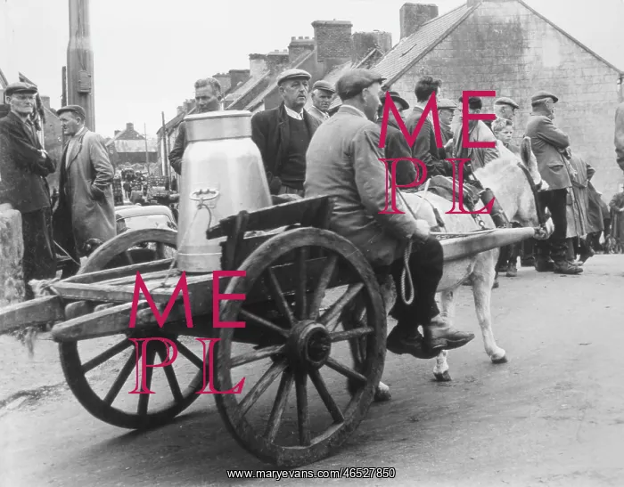  : IRISH MILK CART, 1950S