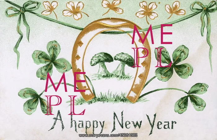 : Irish New Year Souvenir postcard : Irish New Year Souvenir postcard