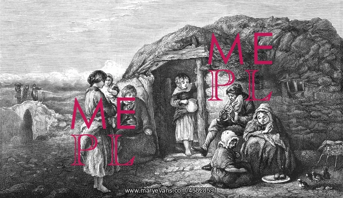  : Irish peasant cabin
