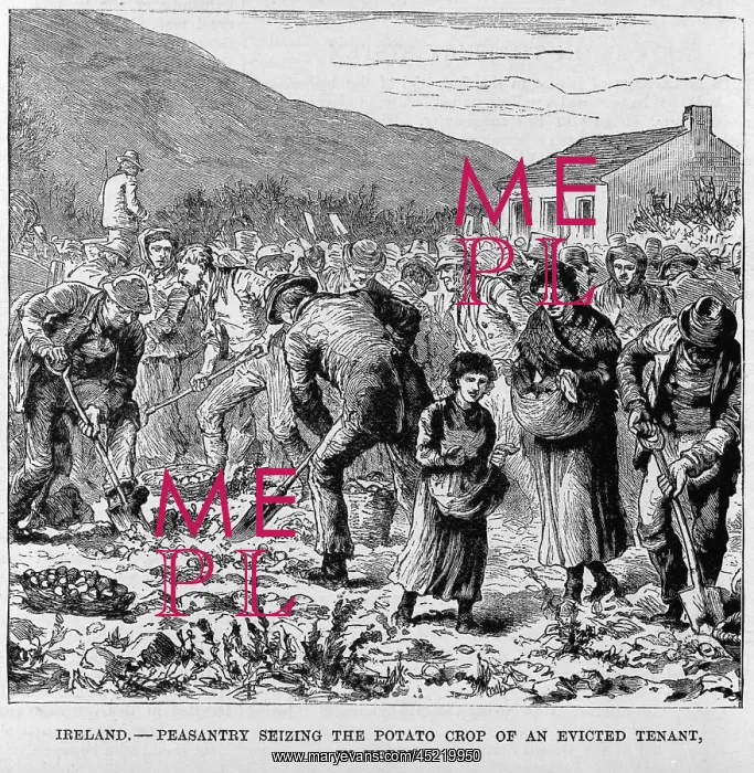 : Irish Peasants seizing the potato crop of ? : Irish Peasants seizing the potato crop of ?