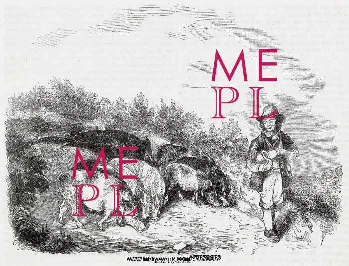  : Irish pig drover at work