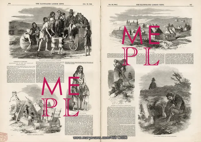 : Irish potato famine : Irish potato famine