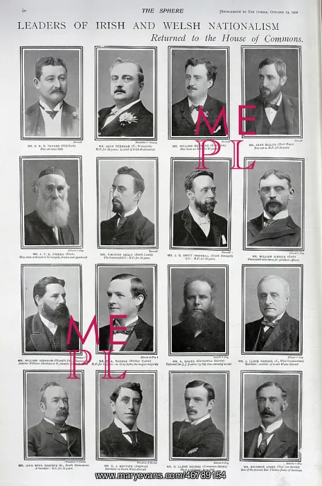 : Irish and Welsh Mps : Irish and Welsh Mps