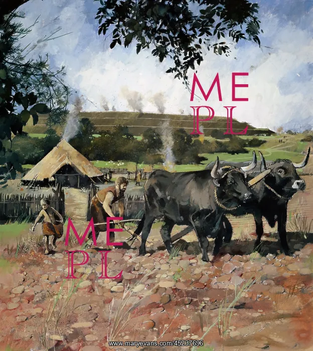 : Iron Age farming : Iron Age farming