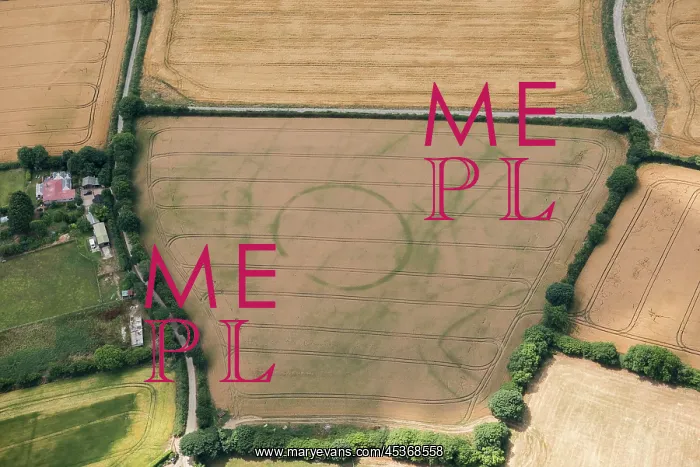 : Iron Age Round, St Ive, Cornwall, 2018 : Iron Age Round, St Ive, Cornwall, 2018