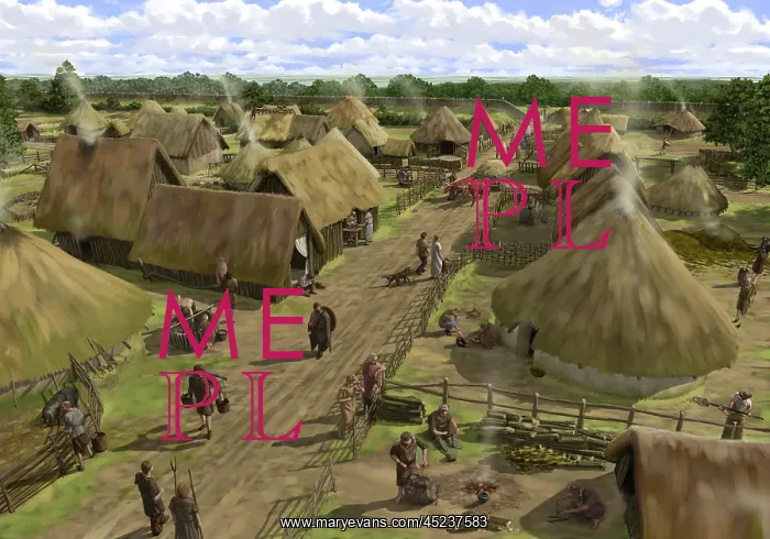 : Iron Age Silchester : Iron Age Silchester