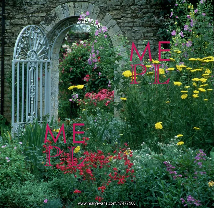 : Iron gate in a stone wall with Summer flowers : Iron gate in a stone wall with Summer flowers