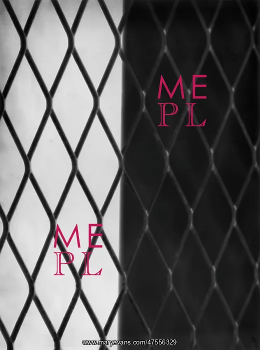  : Iron netting mesh