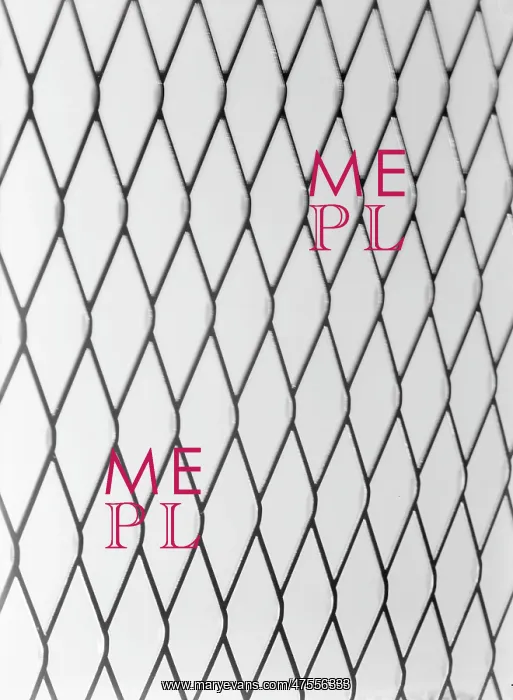  : Iron netting mesh