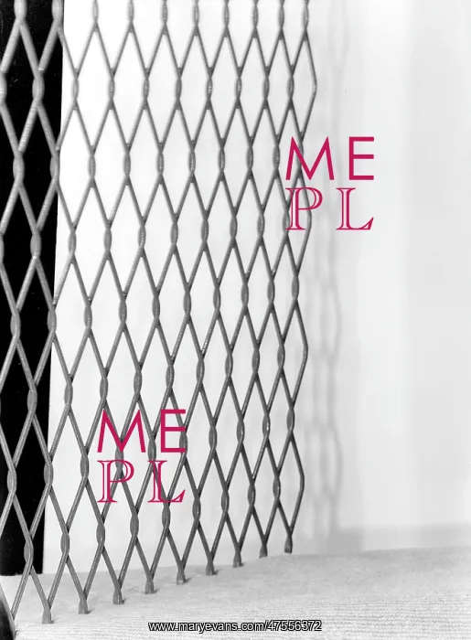  : Iron netting mesh