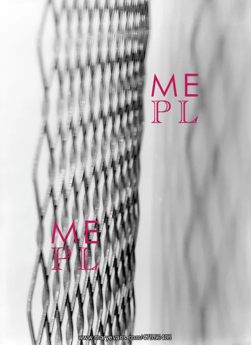  : Iron netting mesh