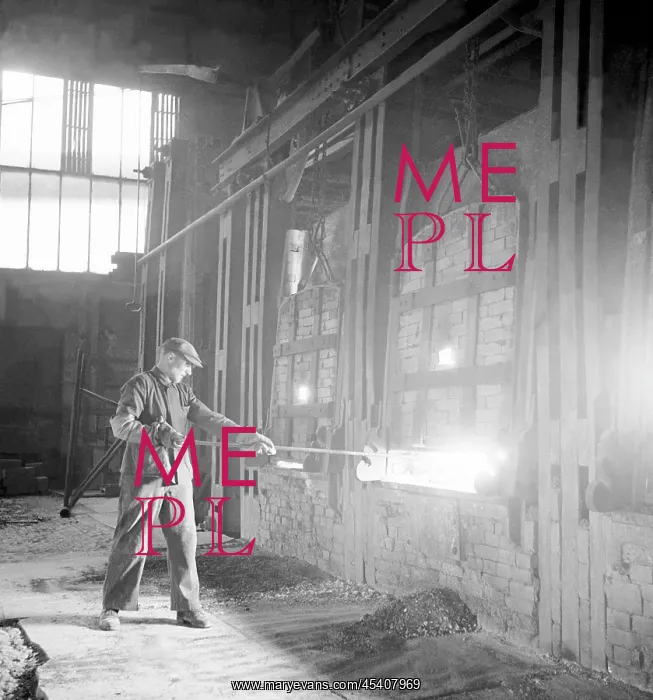 : Iron plant : Iron plant