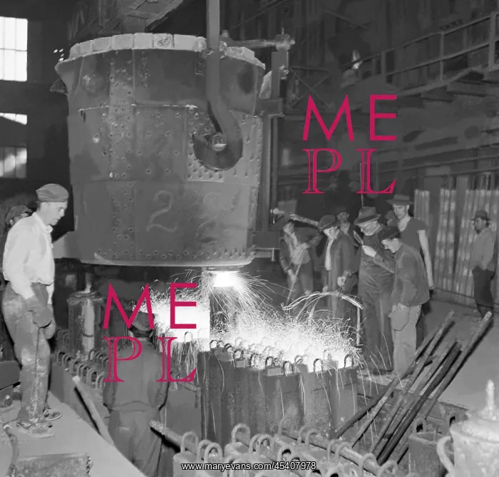 : Iron plant : Iron plant