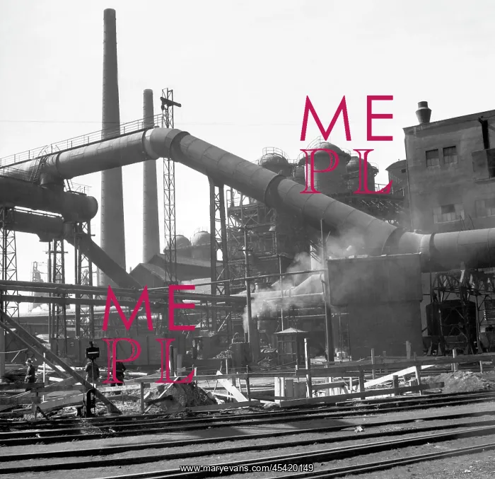 : Iron plant : Iron plant