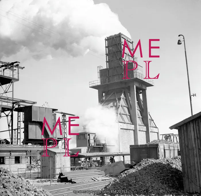 : Iron plant : Iron plant