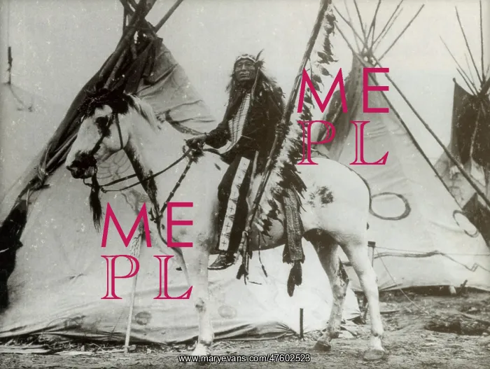 : Iron Tail, Sioux Chief, Early 1900s : Iron Tail, Sioux Chief, Early 1900s