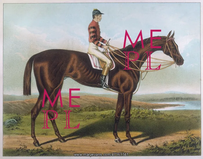  : Iroquois (Racehorse)