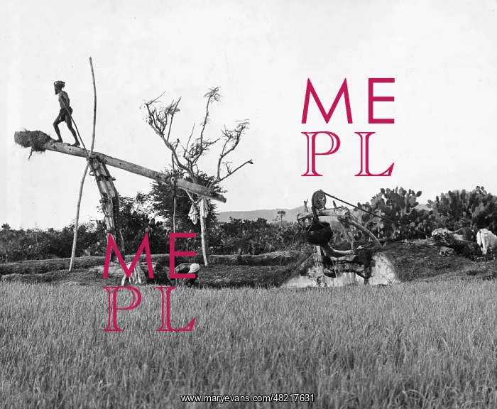 : Irrigation pump in India, 1930 : Irrigation pump in India, 1930