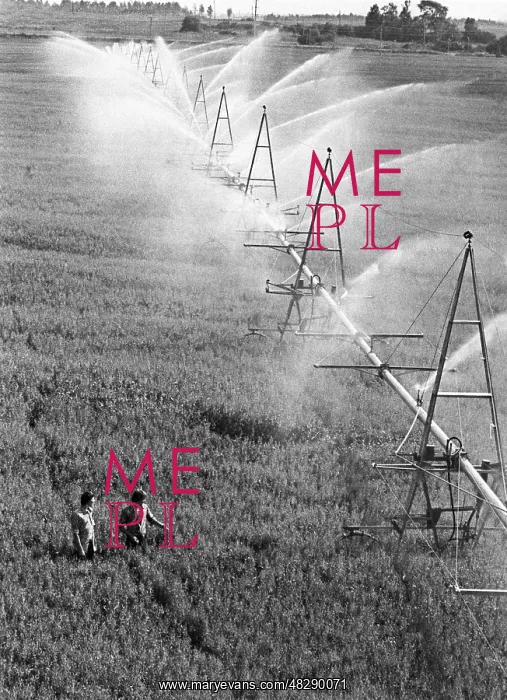 : Irrigation in Vladimir Region, 1977 : Irrigation in Vladimir Region, 1977