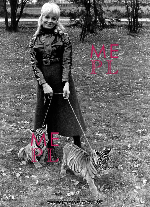 : Isabelle Aubret and her pet tiger cubs : Isabelle Aubret and her pet tiger cubs