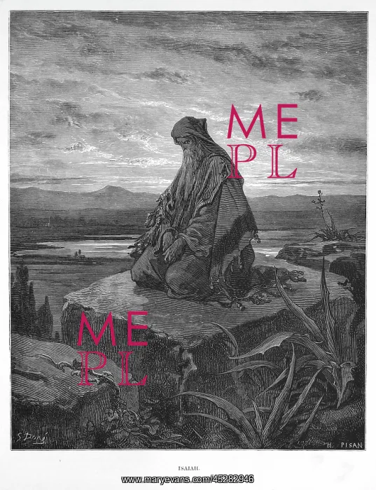  : Isaiah contemplating