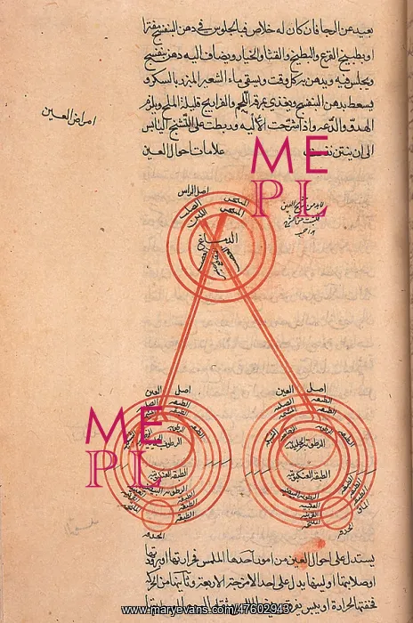: Islamic Medical Encyclopedia Epitomes Manuscript : Islamic Medical Encyclopedia Epitomes Manuscript