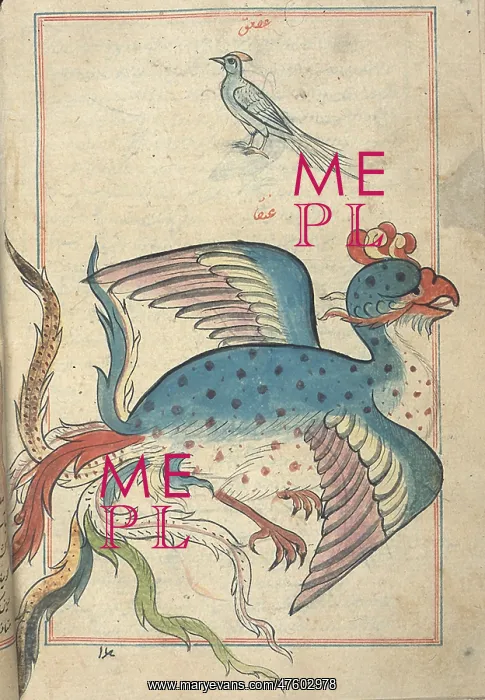 : Islamic Mythical Bird, Simurgh, 17th Century : Islamic Mythical Bird, Simurgh, 17th Century