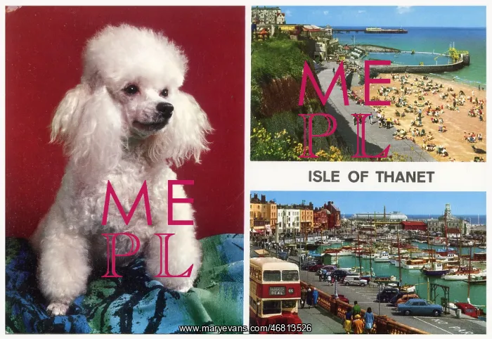 : Isle Of Thanet Postcard : Isle Of Thanet Postcard