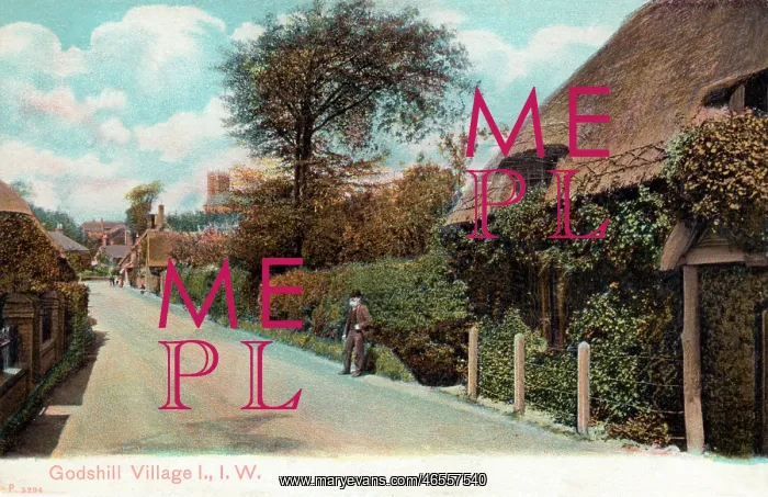  : Isle of Wight, Godshill Village